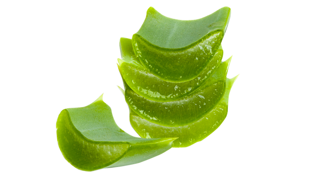 Aloe Leaf Extract